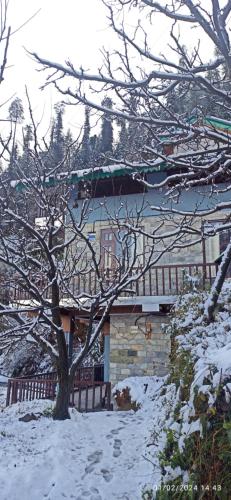 冬のApple view Homestayの様子