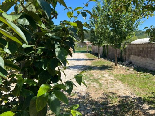 a walkway through a garden with trees in the foreground at L'Orchidea in Sante Marie