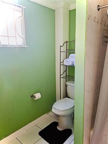 a green bathroom with a toilet and a shower at Country Club House Retreat - 2 bedroom House with Pool near Montego Bay Airport and Beach Strip in Montego Bay