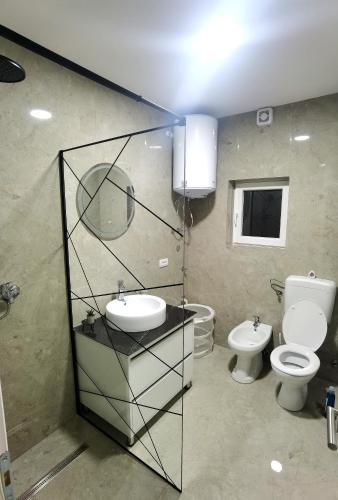 a bathroom with a sink and a toilet and a mirror at Vila Nika in Banja Luka