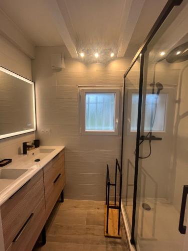 a bathroom with a sink and a mirror and a shower at Gite 5 pers en Provence avec grand jardin & piscine partagés - 5 people holiday home with shared swimming pool & garden in Provence in Cornillon-Confoux