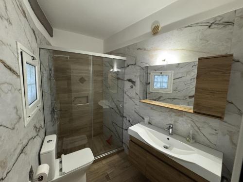 a bathroom with a toilet and a sink and a shower at Rolandos Apartments in Agios Gordios