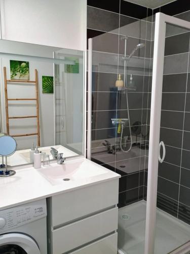 une salle de bain avec un lavabo et une douche dans l'établissement Appartement T2, à Le Bouscat