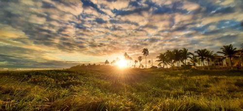 a sunset in a field with palm trees and clouds at Chalé Pé na Areia e Piscina Privativa em Barra do Jacuípe in Camaçari