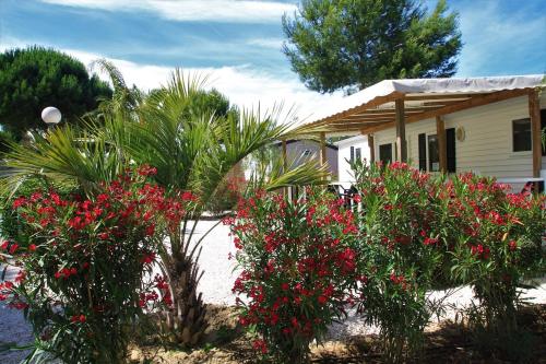 Camping Del Mar 137, Mobile Home O'Hara OTiny930, 3 chambres, 2 salles de bain, 6 personnes, bord de mer