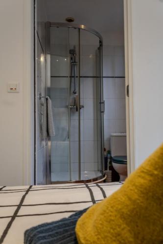 une douche avec une porte vitrée dans une salle de bain dans l'établissement Ti Gat- vue mer - wifi, à Crozon