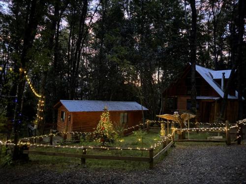 a christmas tree in the yard of a cabin with lights at Cabañas El Mirador de Recinto in Recinto