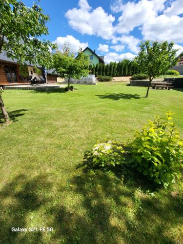 a green yard with some flowers in the grass at Chalupa u Alunka in Police nad Metují