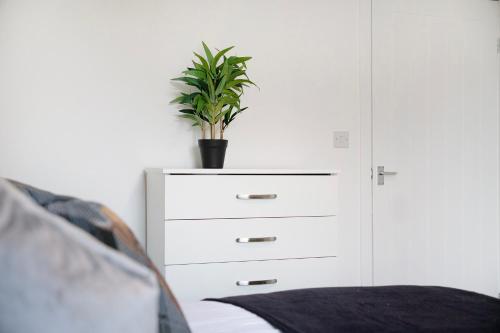 a white dresser with a potted plant on it at NEW! Spacious 4BR in Sidney in Bishop Auckland