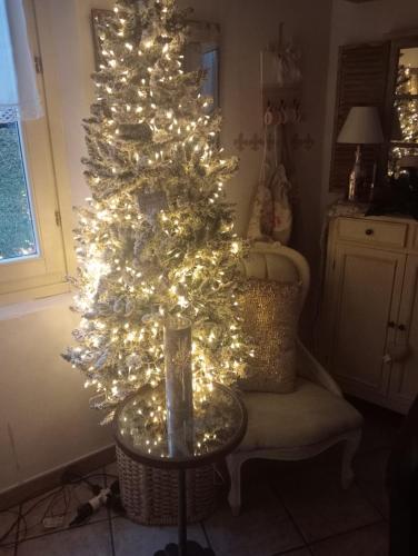 a christmas tree with lights in a living room at BB Lady in Castelvetro di Modena
