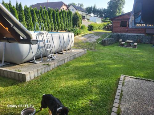 a black dog standing in the grass next to a pool at Chalupa u Alunka in Police nad Metují