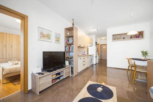 Apartment Tania
