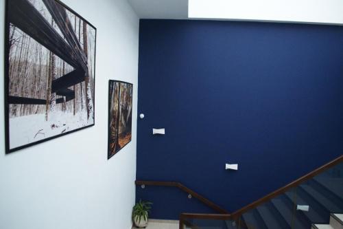 a blue wall with two pictures and a staircase at Hotel EMD in Bacău