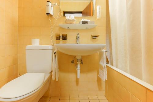a bathroom with a toilet and a sink at Hôtel du Grand-Pré in Marly-le-Grand
