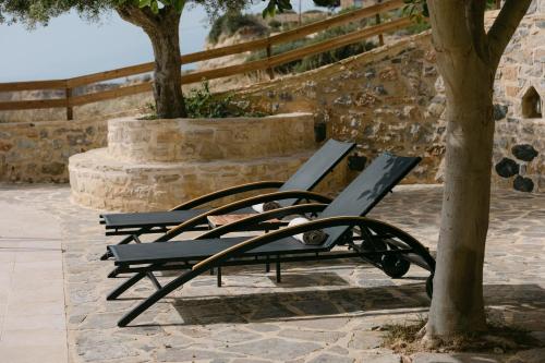 a black bench sitting next to a tree at Greco Levantes Villas in Triopetra