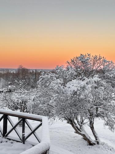 a tree covered in snow next to a fence at Hotell Gyllene Hornet in Tällberg