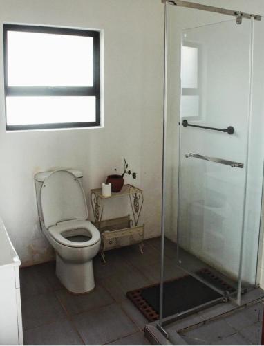 a bathroom with a toilet and a glass shower at Peter's Gate Farm Cottage in Lidgetton