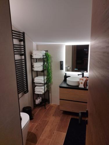a bathroom with a sink and a toilet and a mirror at Sierra Nevada El Tesoro in Sierra Nevada