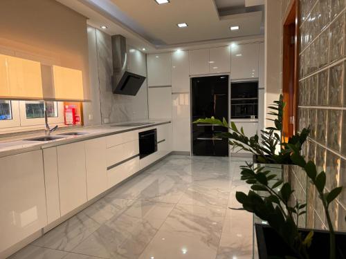 a kitchen with white cabinets and a potted plant at Casa Serra dos Picos - Casa de Ferias, Braga in Braga