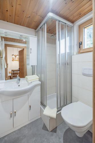 a bathroom with a toilet and a sink and a shower at Bauernhof Pergila in Maria Luggau