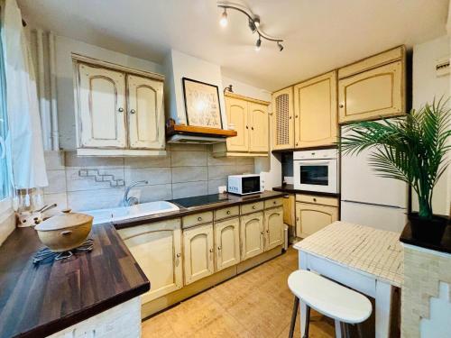 une cuisine avec des placards en bois et une plante en pot dans l'établissement Lecourbe Porte de Versailles, à Paris