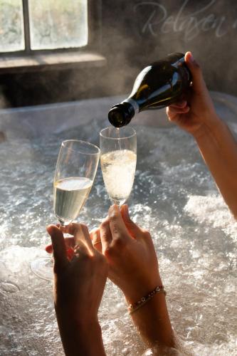 two people are holding glasses of white wine at Wellness Bed & Breakfast by Leef in Maasland