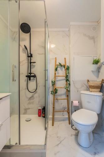 une salle de bain avec douche et toilettes dans l'établissement Le petit studio du stadium avec parking gratuit, à Villeneuve d'Ascq
