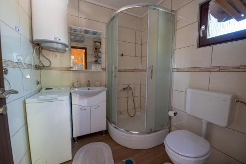a bathroom with a shower and a toilet and a sink at Kuća za odmor Franka in Skenderovci