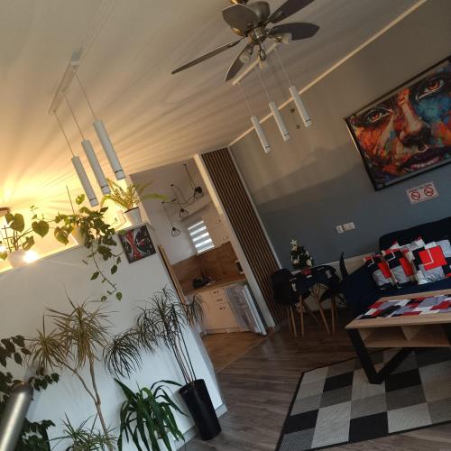 Apartament przy Białym Koniu