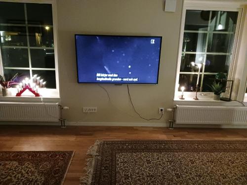 Havet Österlenにあるテレビまたはエンターテインメントセンター