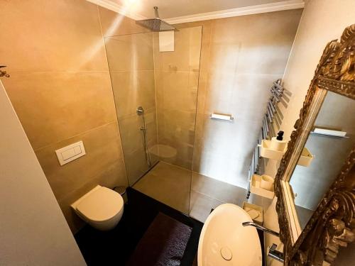 a bathroom with a shower and a toilet and a mirror at Cozy Apartment with Stunning Lakeview in Brienz