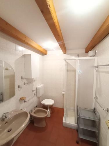 a bathroom with a toilet and a sink and a shower at TOP Appartamenti in Passo del Tonale