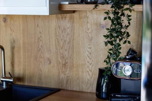 a kitchen counter with a coffee maker and a plant at Eveland Accessible Villas in Sfakaki