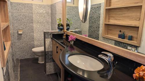 a bathroom with a sink and a toilet at Maison des Sables - Turquoise in Port Louis