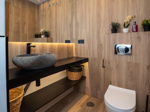 a bathroom with a sink and a toilet at Oso Polar in Sierra Nevada