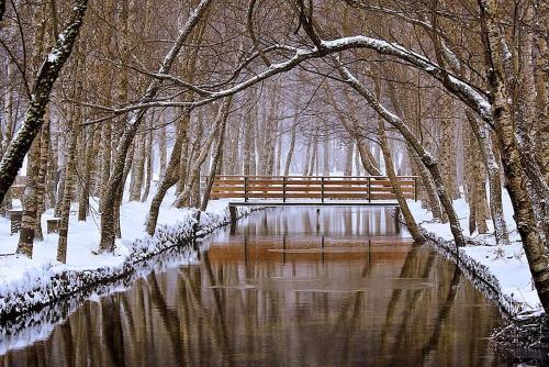 a bench sitting over a river with snow covered trees at Casa Manuel I Sabugueiro in Sabugueiro