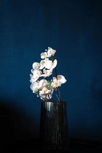 a black vase with white flowers in it at PARNIS PALACE Hotel Suites in Akharnaí