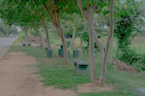 a park with benches and trees in the grass at Wilpattu Restaurant & Guest house in Pahala Maragahawewa