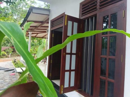 TaMaRiNd houseにある庭