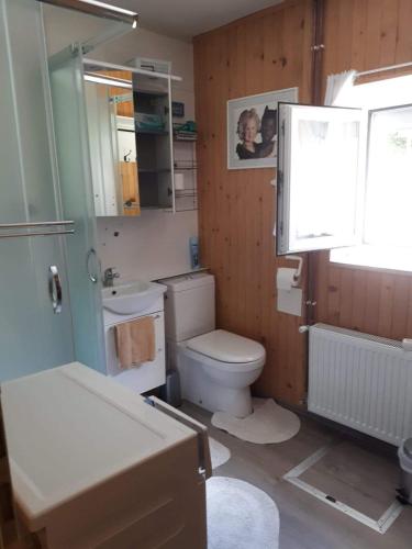 a bathroom with a toilet and a sink at Cottage Stela Bohinj in Bohinj