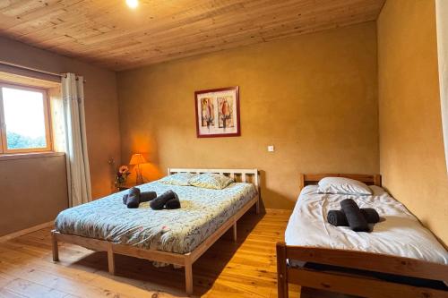 une chambre avec deux lits et une fenêtre dans l'établissement Belles-Vues - Ozon, à Ozon