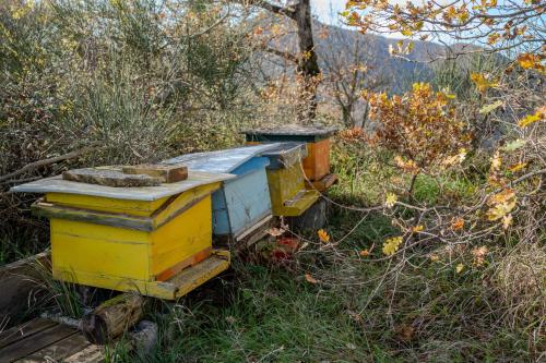 a beehive sitting in the middle of a field at Il Capriccio del Papa in Genga