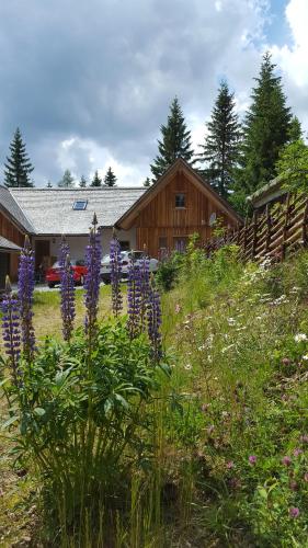 a field of purple flowers in front of a house at Holzmeisterhütte Teichalm-Sommeralm in Sankt Kathrein am Offenegg