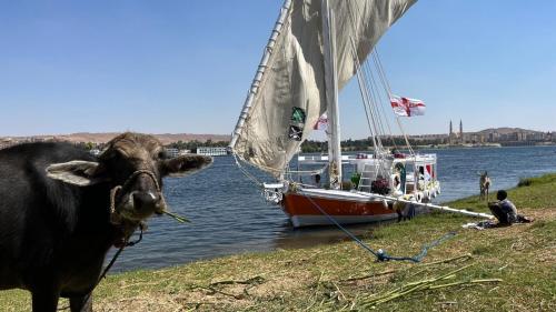2nights Felucca from aswan to komobo temple