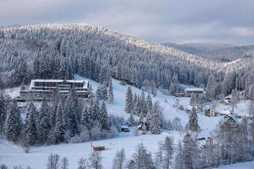 a snow covered mountain with a ski lodge and trees at Spa hotel Lanterna in Velké Karlovice