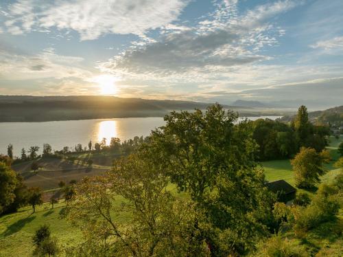 a view of a lake with the sun in the distance at Aparthotel Beinwil am See in Beinwil