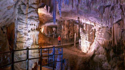 a man standing on a platform in a cave at SPRING and SUMMER apartment near Ljubljana with FREE secure parking in Domžale