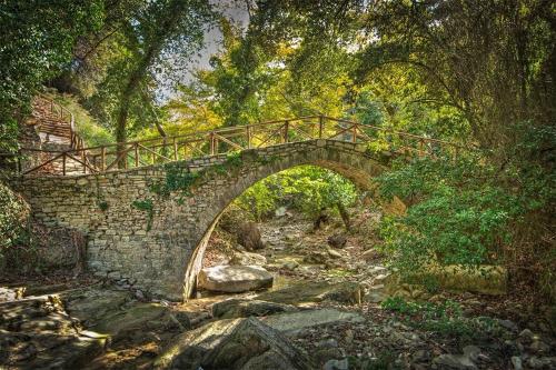 a stone bridge over a stream in a forest at Blue Dream Seaside Villa with superb sea views in Kymi