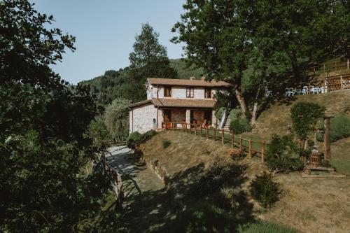 a house on the side of a hill at Agriturismo Le Scope in Molazzana