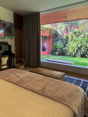 a bedroom with a large bed and a large window at Parque Juan Diego in Guadalajara
